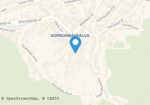 Térkép