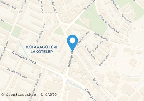 Térkép
