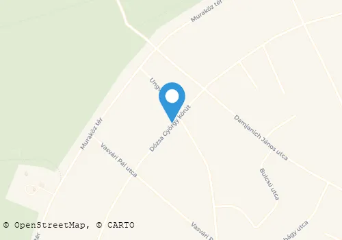 Térkép