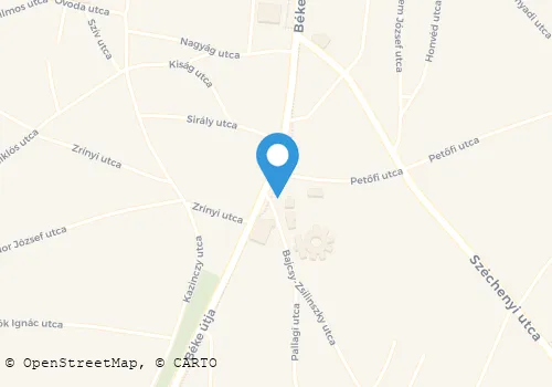 Térkép