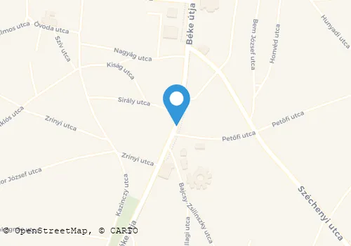 Térkép