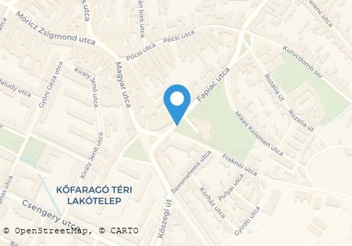 Térkép
