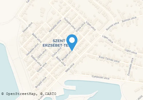 Térkép