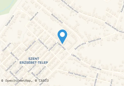 Térkép