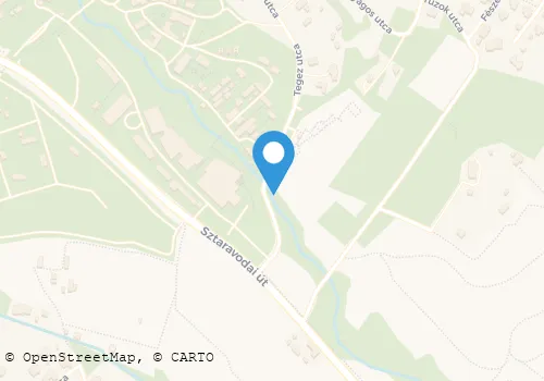 Térkép