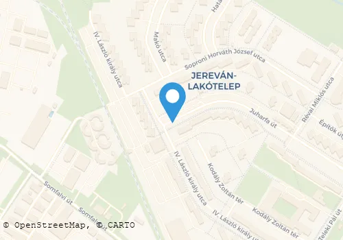 Térkép