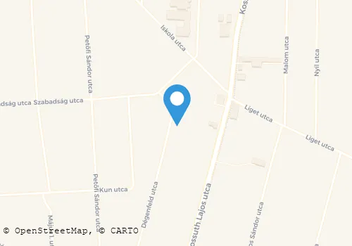 Térkép