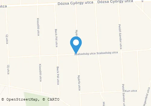 Térkép