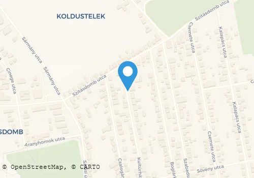 Térkép