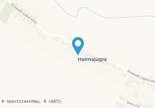 Térkép