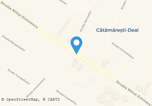 Hartă