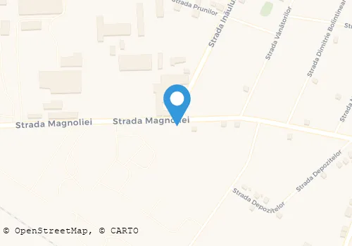 Hartă