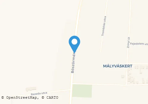 Térkép