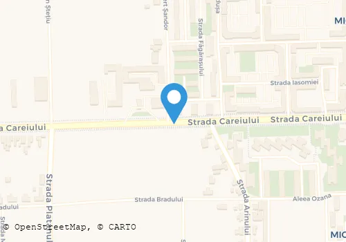 Hartă