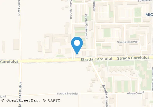 Hartă