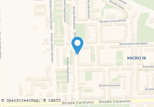 Hartă