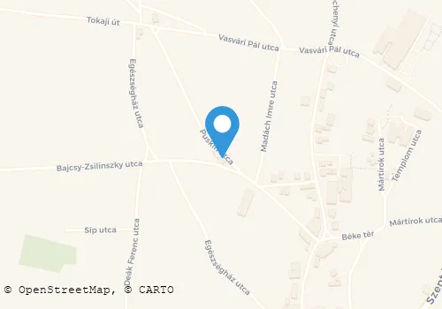 Térkép
