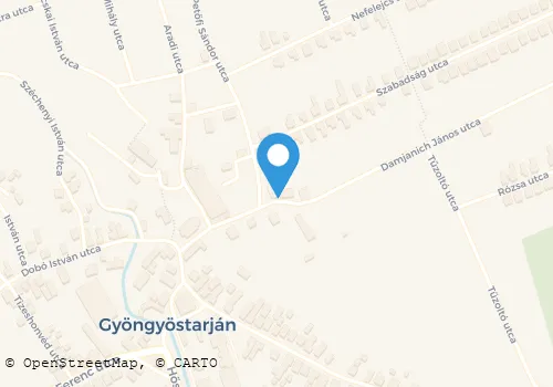 Térkép