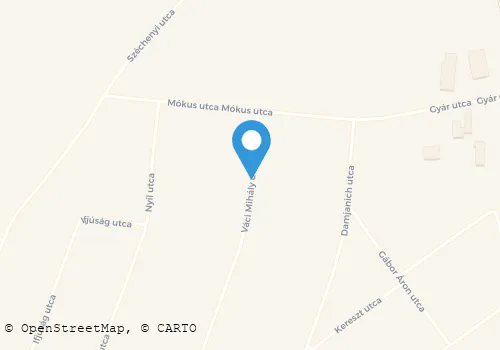 Térkép