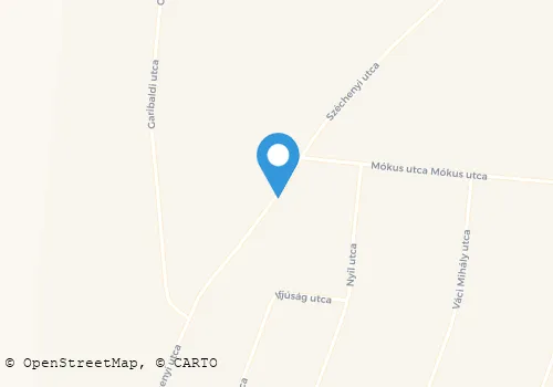 Térkép