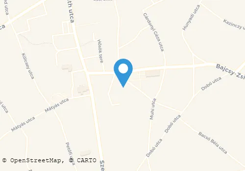 Térkép