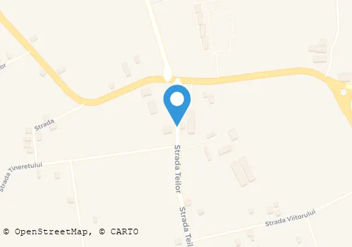 Hartă