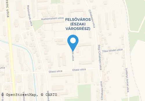 Térkép