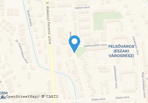 Térkép