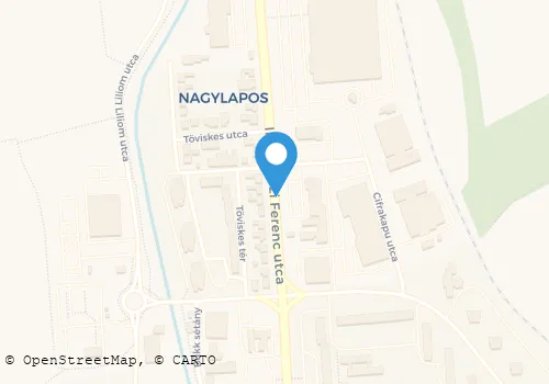 Térkép