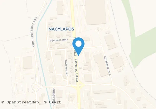 Térkép