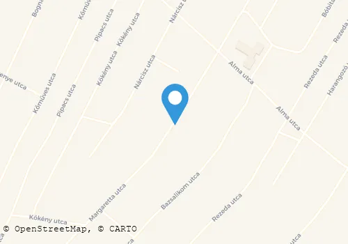 Térkép