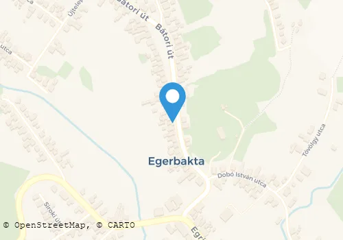 Térkép