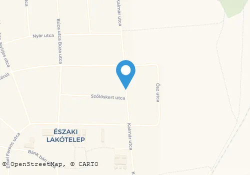 Térkép
