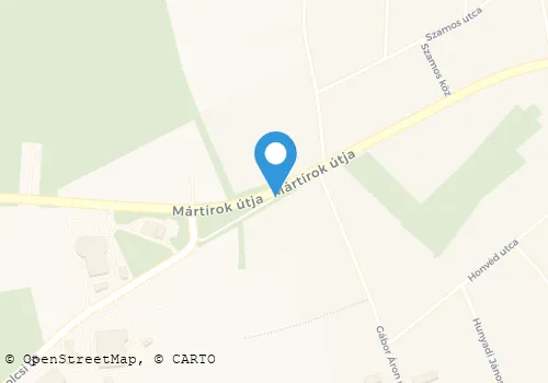 Térkép