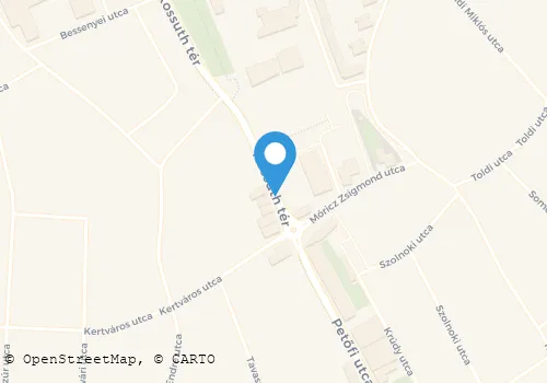 Térkép