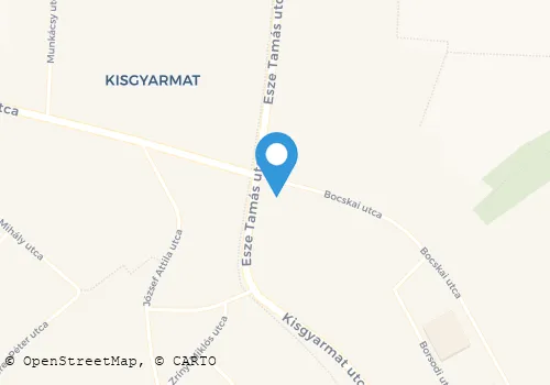 Térkép