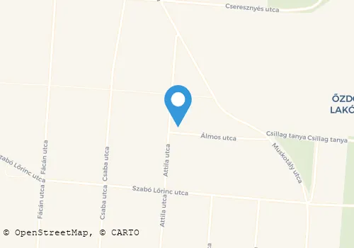 Térkép