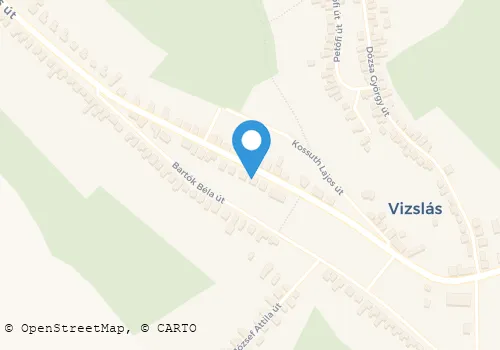 Térkép