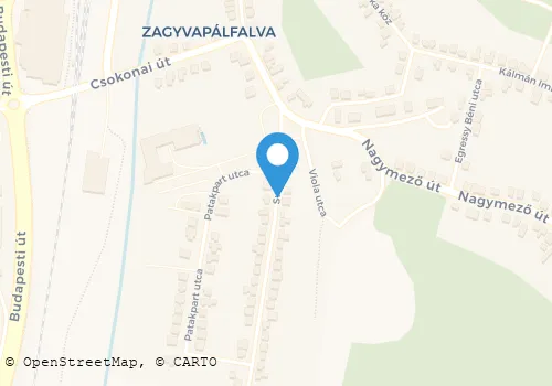 Térkép