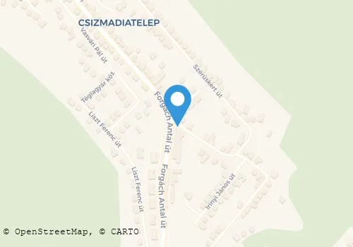 Térkép