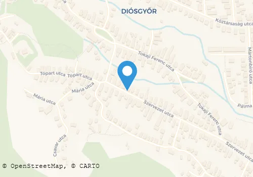 Térkép