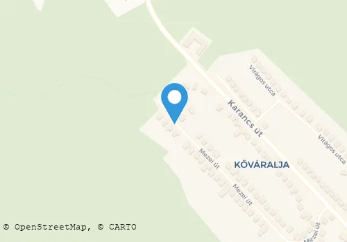 Térkép
