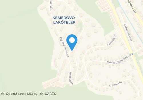 Térkép