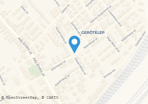 Térkép