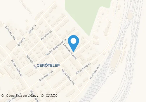 Térkép