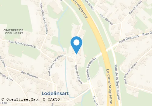 Kaart