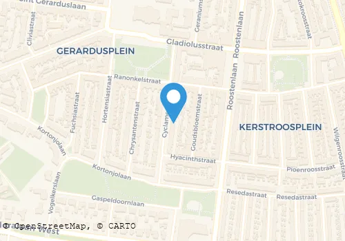 Kaart