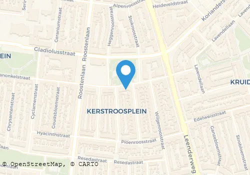 Kaart