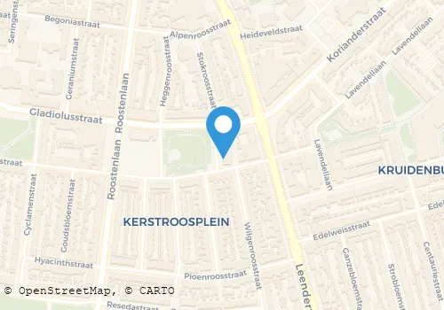 Kaart