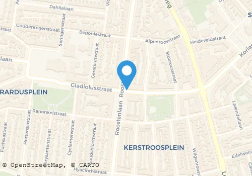 Kaart